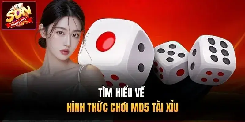 Tìm hiểu về hình thức chơi MD5 tài xỉu